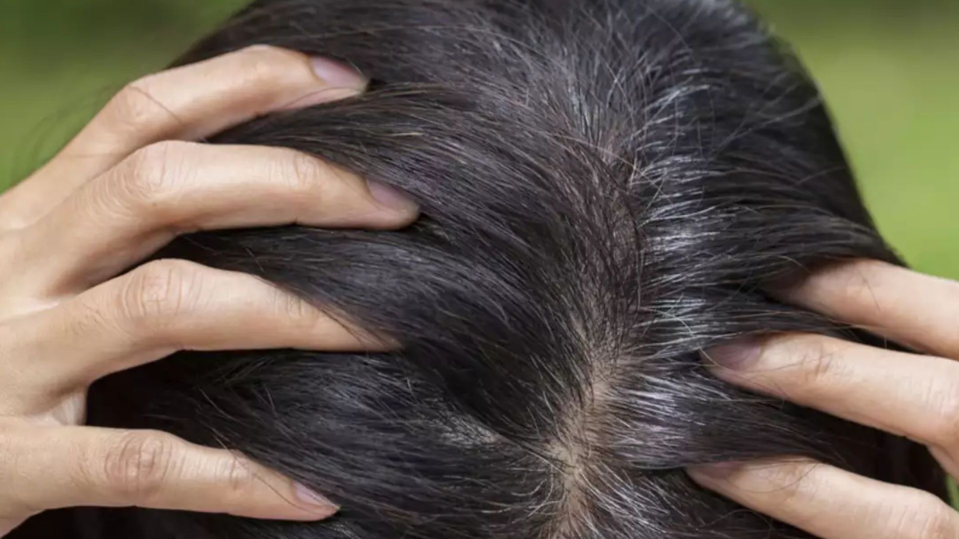 Say Goodbye to Hair Dye: This miraculous leaf and castor oil will black to black in minutes, that too forever! 34 516790 White Hair 17