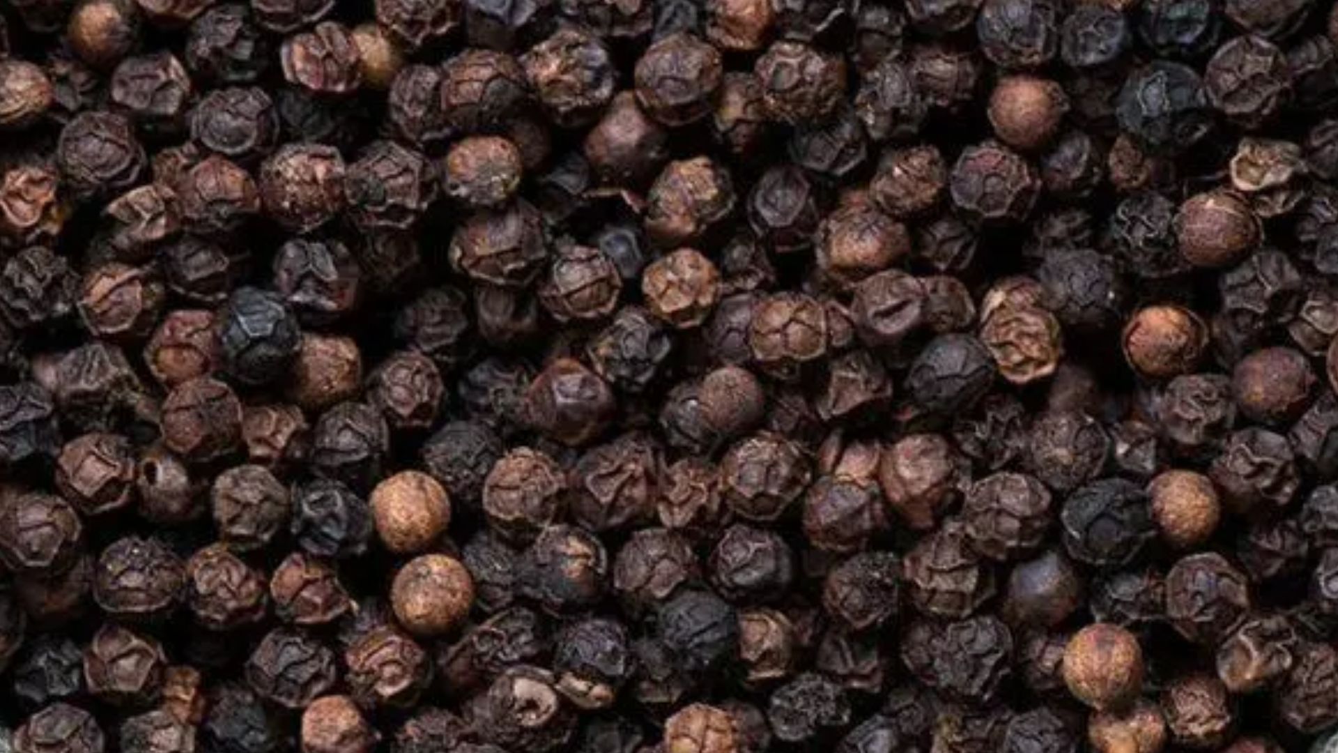 516799 Black Pepper 5