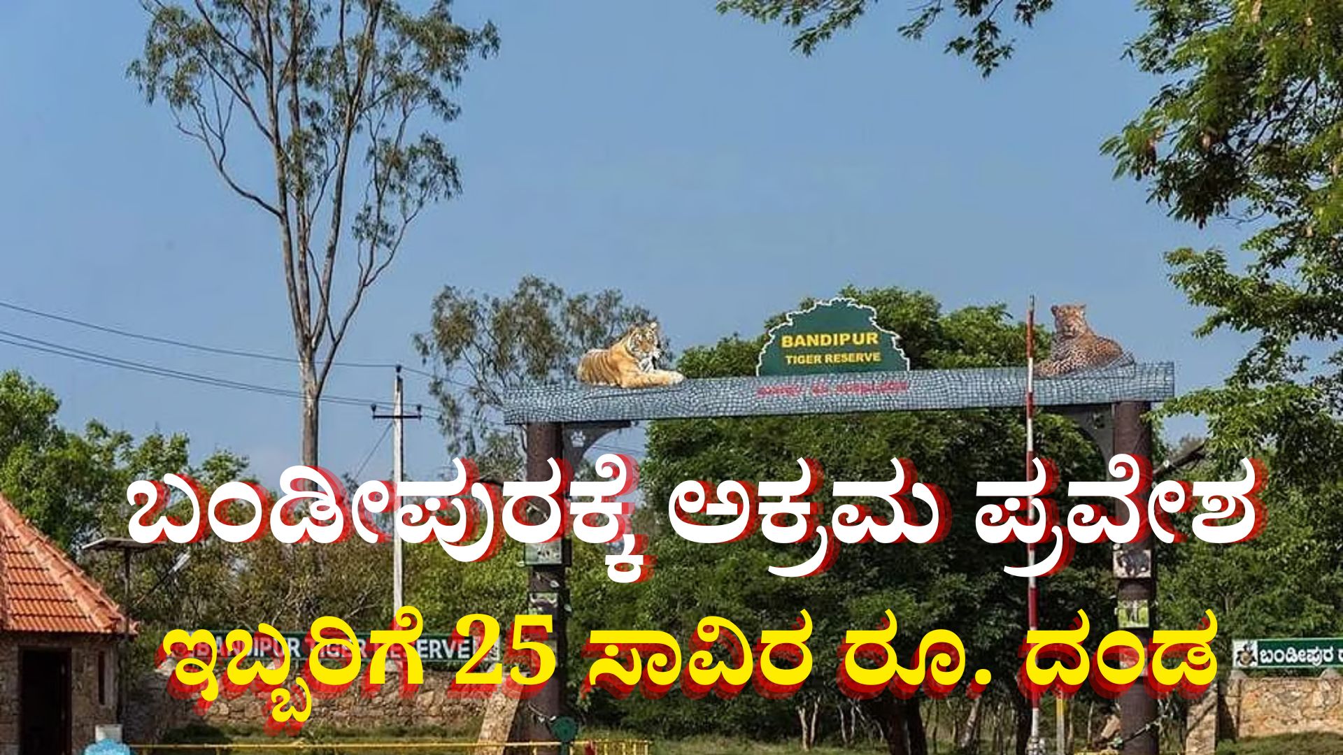 ಬಂಡೀಪುರ ಕಾಡಲ್ಲಿ ಫೋಟೋ ಶೂಟ್- 25 ಸಾವಿರ ದಂಡ ಪೀಕಿದ ಪ್ರವಾಸಿಗರು
