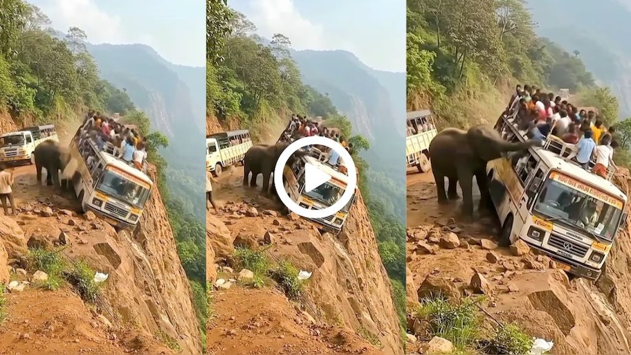Elephant Viral Video: ಬೆಟ್ಟದ ತುದಿಯಲ್ಲಿ ಈ ಆನೆ ಮಾಡಿದ ಕೆಲಸಕ್ಕೆ, ಬಸ್‌ನಲ್ಲಿದ್ದ ಪ್ರಯಾಣಿಕರಿಗೆ ಜೀವ ಬಾಯಿಗೆ ಬಂದಿರುತ್ತೆ! ಗುಂಡಿಗೆ ನೀರಾಗಿರುತ್ತೆ