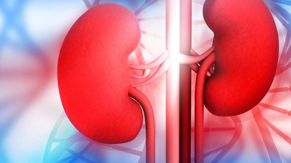 Symptoms of Kidney Failure