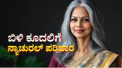 ಕೆಮಿಕಲ್ ಯುಕ್ತ ಹೇರ್ ಡೈ ಬೇಕಿಲ್ಲ... ಟೀ ಸೊಪ್ಪನ್ನು ಹೀಗೆ ಬಳಸಿದ್ರೆ ನ್ಯಾಚುರಲ್ ಆಗಿ ಕಪ್ಪಾಗುತ್ತೆ ಬಿಳಿ ಕೂದಲು 