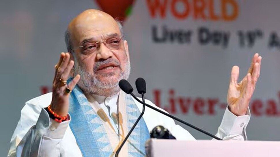 Amit Shah Diet Plan for control diabetes and lose weight