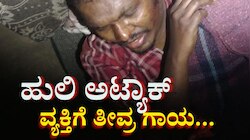 ಬಹಿರ್ದೆಸೆ‌ ಮುಗಿಸಿ ಮನೆಗೆ ತೆರಳುತ್ತಿದ್ದವನ‌ ಮೇಲೆ ಎಗರಿದ ಹುಲಿರಾಯ:  ವ್ಯಕ್ತಿಗೆ ತೀವ್ರ ಗಾಯ 