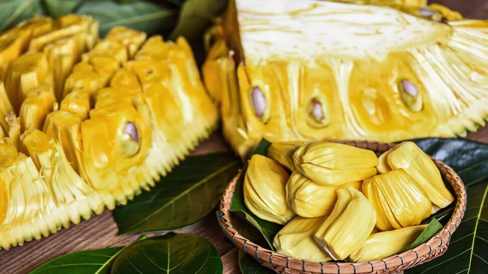 jackfruit benefits for cancer