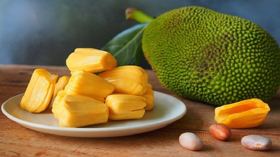 jackfruit benefits for cancer