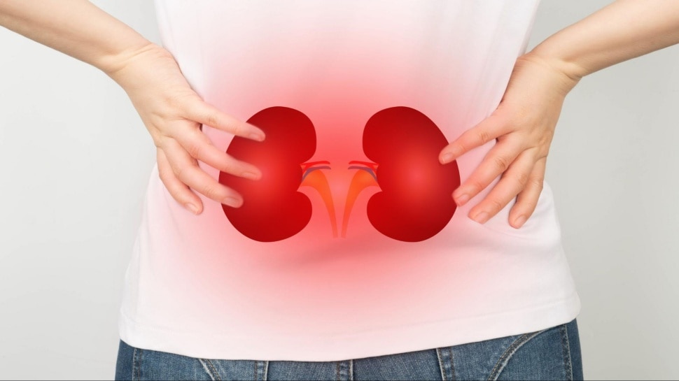 Remedy o prevent kidney problem