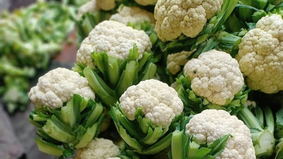 Remedy o prevent kidney problem