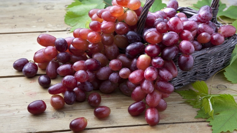 Remedy o prevent kidney problem