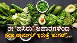 ಪಥ್ಯ ಬೇಡ... ಈ ಐದು ಹಸಿರು ಆಹಾರಗಳಿಂದ ಹೈ ಶುಗರ್ ಸಹ ಫುಲ್ ನಾರ್ಮಲ್ ಆಗುತ್ತೆ... 