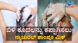 ಒಂದೇ ಬಾರಿಗೆ ಬಿಳಿ ಕೂದಲನ್ನು ಶಾಶ್ವತವಾಗಿ ಕಪ್ಪಾಗಿಸುತ್ತೆ ಈ ಶಾಂಪೂ ಮಿಕ್ಸ್ 