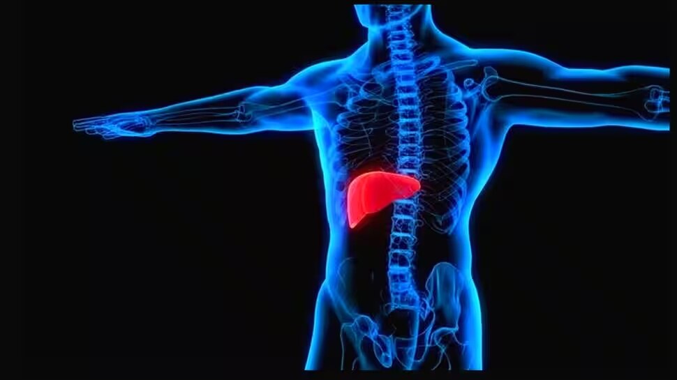  Food that id bad for liver 