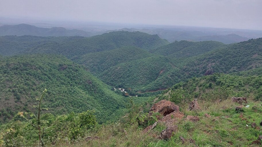  ಕಪ್ಪತಗುಡ್ಡ ವನ್ಯ ಜೀವಿಧಾಮ: 322 ಚ.ಕಿ.ಮೀ ಪರಿಸರ ಸೂಕ್ಷ್ಮ ಪ್ರದೇಶವಾಗಿ ಕೇಂದ್ರ ಸರ್ಕಾರ ಘೋಷಣೆ