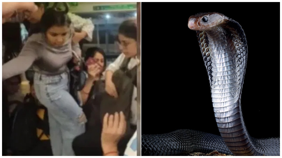 ಮೆಟ್ರೋ ಮಹಿಳೆಯರ ಕಂಪಾರ್ಟ್ಮೆಂಟ್ನಲ್ಲಿ ಹಾವು ಪ್ರತ್ಯಕ್ಷ..! ಅಲ್ಲಿಗೆ ಹೇಗೆ ಬಂದ ನಾಗಪ್ಪ..? ವಿಡಿಯೋ ವೈರಲ್.. ಮೆಟ್ರೋ ಮಹಿಳೆಯರ ಕಂಪಾರ್ಟ್ಮೆಂಟ್ನಲ್ಲಿ ಹಾವು ಪ್ರತ್ಯಕ್ಷ..! ಅಲ್ಲಿಗೆ ಹೇಗೆ ಬಂದ ನಾಗಪ್ಪ..? ವಿಡಿಯೋ ವೈರಲ್..