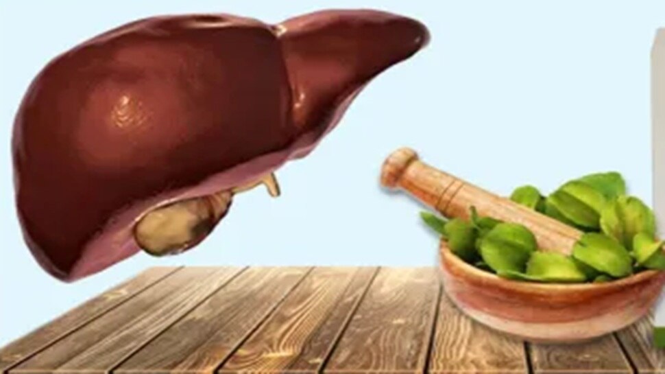 Arjuna Bark Benefits