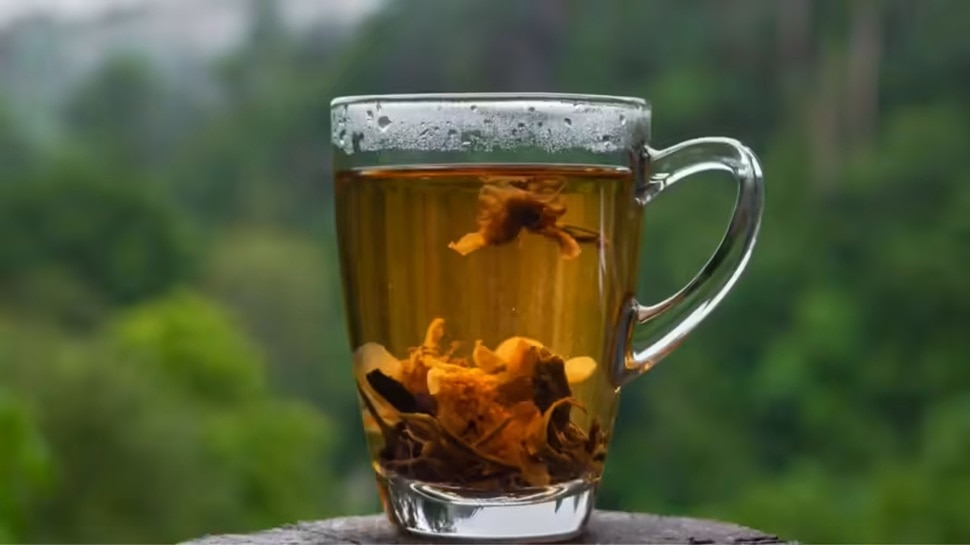 Arjuna Bark Benefits