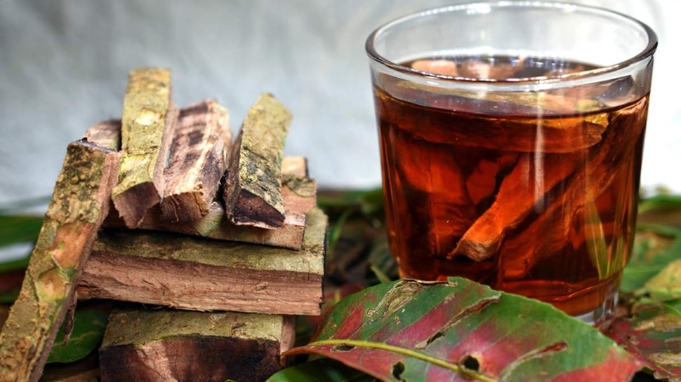 Arjuna Bark Benefits