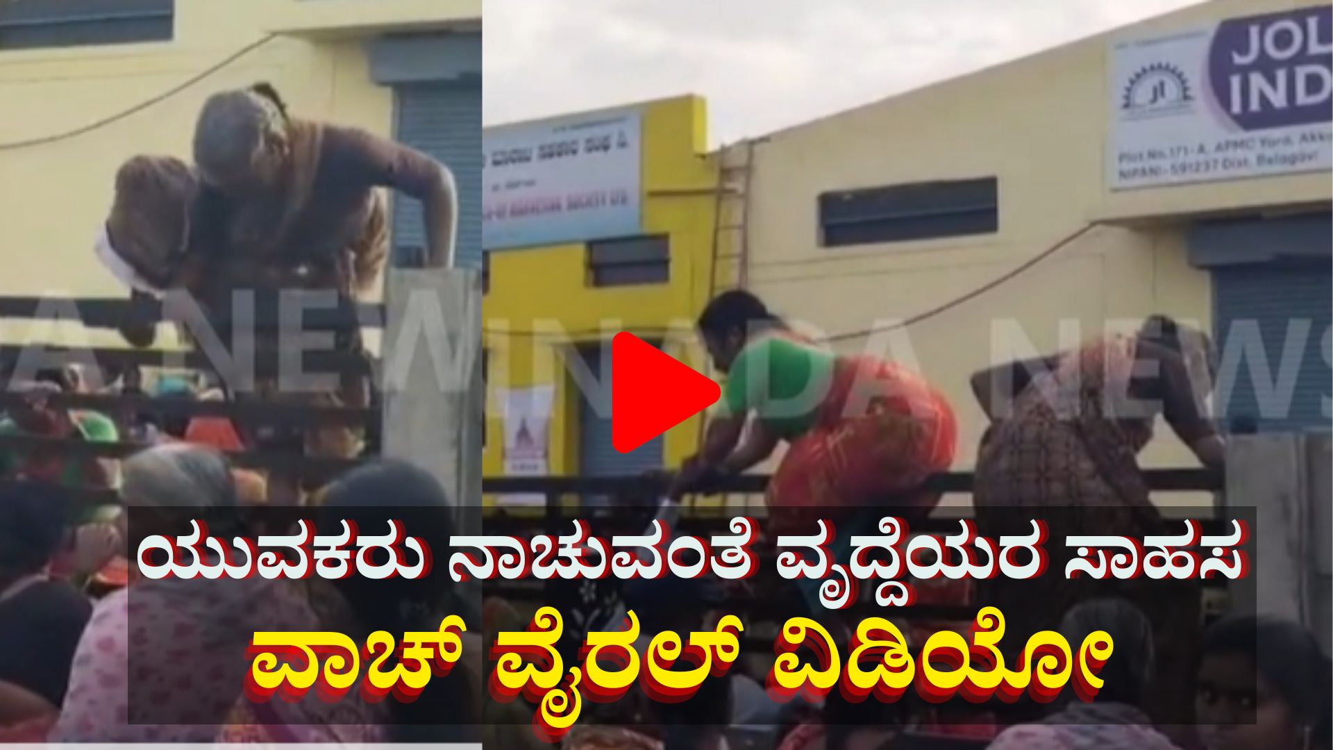 ಕಡಲೆ ಬೀಜ ವಿತರಣೆ: ಯುವಕರಂತೆ ಗೇಟ್ ಹತ್ತಿದ 60ರ ಅಜ್ಜಿಯರು: ವಿಡಿಯೋ ವೈರಲ್ ಕಡಲೆ ಬೀಜ ವಿತರಣೆ: ಯುವಕರಂತೆ ಗೇಟ್ ಹತ್ತಿದ 60ರ ಅಜ್ಜಿಯರು: ವಿಡಿಯೋ ವೈರಲ್