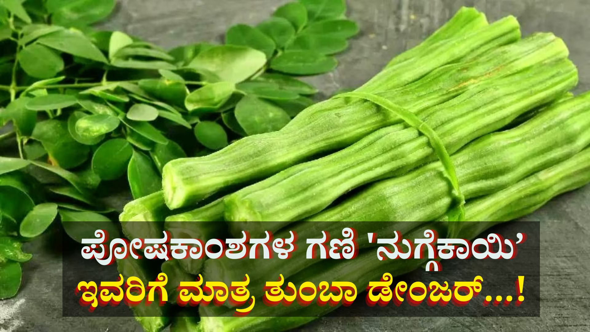 ಪೋಷಕಾಂಶಗಳ ಗಣಿ 'ನುಗ್ಗೆಕಾಯಿ': ಈ ನಾಲ್ವರಿಗೆ ಮಾತ್ರ ತುಂಬಾ ಡೇಂಜರ್ ಪೋಷಕಾಂಶಗಳ ಗಣಿ 'ನುಗ್ಗೆಕಾಯಿ': ಈ ನಾಲ್ವರಿಗೆ ಮಾತ್ರ ತುಂಬಾ ಡೇಂಜರ್
