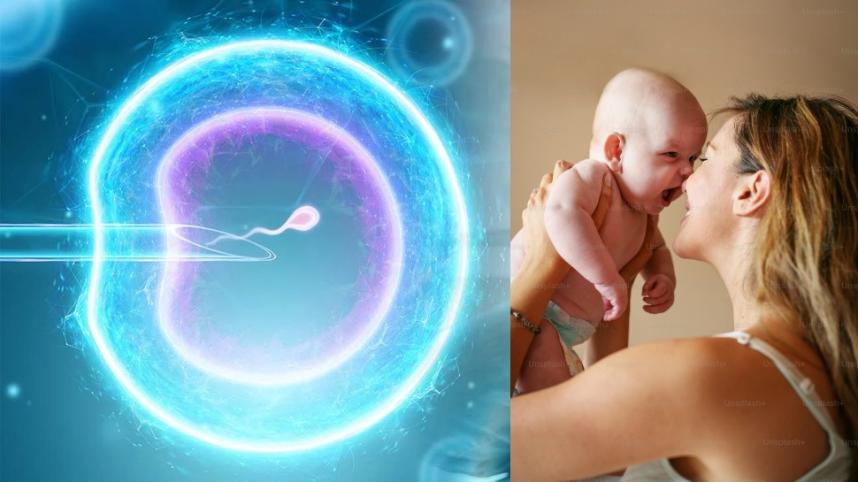 ದಾನಿಗಳ ಮೂಲಕ IVF ನಿಂದ ಹುಟ್ಟುವ ಮಗುವಿನ ಅಪ್ಪನ ಹೆಸರು ದಾಖಲೆಗಳಲ್ಲಿ ಏನಿರುತ್ತೆ? ದಾನಿಗಳ ಮೂಲಕ IVF ನಿಂದ ಹುಟ್ಟುವ ಮಗುವಿನ ಅಪ್ಪನ ಹೆಸರು ದಾಖಲೆಗಳಲ್ಲಿ ಏನಿರುತ್ತೆ?