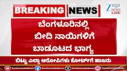 ಬೀದಿ ನಾಯಿಗಳಿಗೆ ಊಟ ಹಾಕಲು ಟೆಂಡರ್ ಕರೆದ ಪಾಲಿಕೆ
