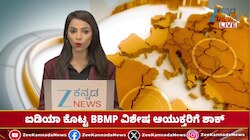 ಬಿಬಿಎಂಪಿಯಿಂದ ಬೀದಿ ನಾಯಿಗಳಿಗೆ ಚಿಕನ್ ಬಿರಿಯಾನಿ ಒದಗಿಸುವ ಯೋಜನೆ