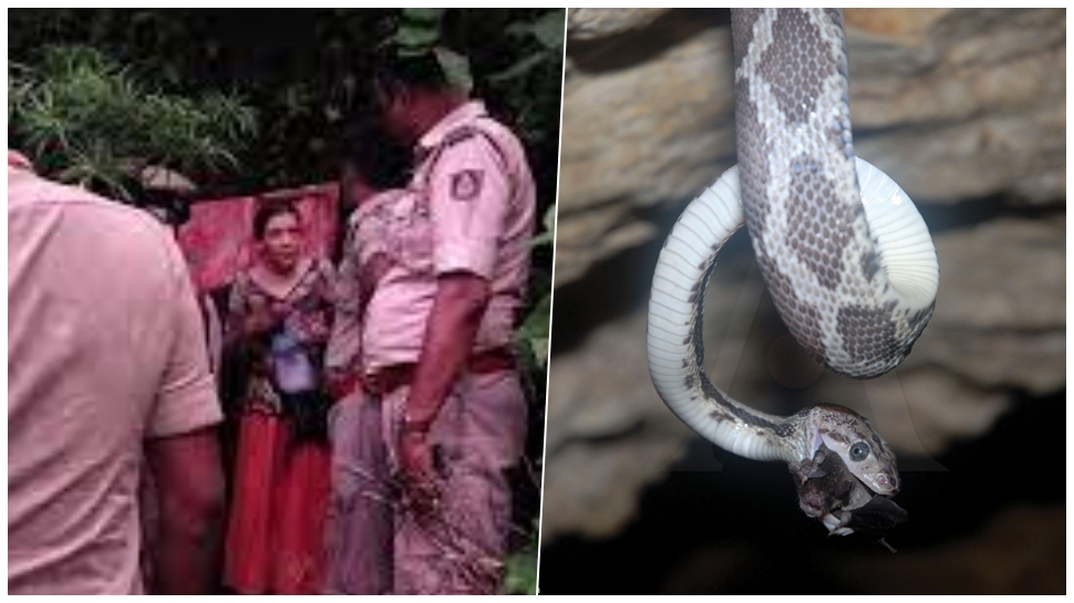 ದಟ್ಟ ಕಾಡು, ವಿಷಕಾರಿ ಹಾವುಗಳು, ಭಕ್ಷಕಗಳು.. ಮಕ್ಕಳ ಜೊತೆ ಗುಹೆಯಲ್ಲಿ ವಾಸವಿದ್ದ ವಿದೇಶ ಮಹಿಳೆ ಬದುಕಿದ್ದೇಗೆ ಗೊತ್ತೆ..! ದಟ್ಟ ಕಾಡು, ವಿಷಕಾರಿ ಹಾವುಗಳು, ಭಕ್ಷಕಗಳು.. ಮಕ್ಕಳ ಜೊತೆ ಗುಹೆಯಲ್ಲಿ ವಾಸವಿದ್ದ ವಿದೇಶ ಮಹಿಳೆ ಬದುಕಿದ್ದೇಗೆ ಗೊತ್ತೆ..!