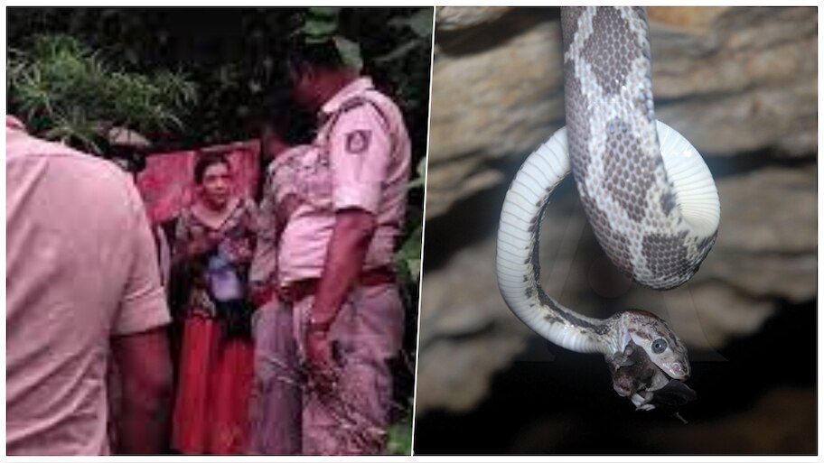 ದಟ್ಟ ಕಾಡು, ವಿಷಕಾರಿ ಹಾವುಗಳು, ಭಕ್ಷಕಗಳು.. ಮಕ್ಕಳ ಜೊತೆ ಗುಹೆಯಲ್ಲಿ ವಾಸವಿದ್ದ ವಿದೇಶ ಮಹಿಳೆ ಬದುಕಿದ್ದೇಗೆ ಗೊತ್ತೆ..! 