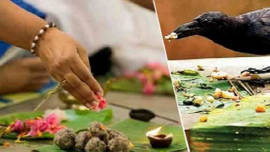 ಪಿತೃ ಪಕ್ಷ ಯಾವಾಗ ಪ್ರಾರಂಭವಾಗಲಿದೆ? ಯಾವ ದಿನಾಂಕದಂದು ಯಾವ ಶ್ರಾದ್ಧ? ಇಲ್ಲಿದೆ ಸಂಪೂರ್ಣ ಮಾಹಿತಿ