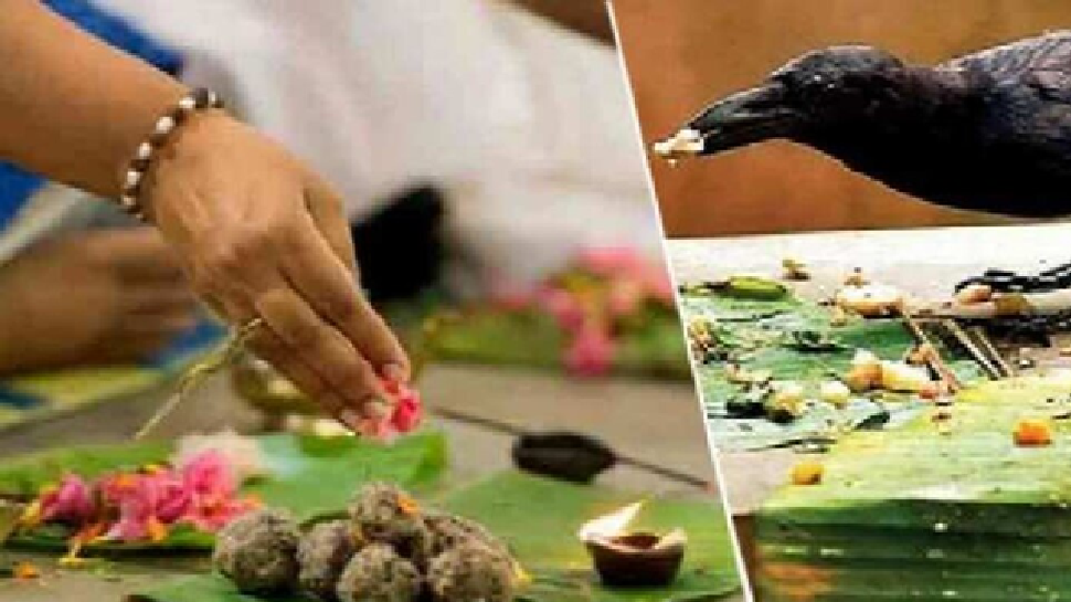 ಪಿತೃ ಪಕ್ಷ ಯಾವಾಗ ಪ್ರಾರಂಭವಾಗಲಿದೆ? ಯಾವ ದಿನಾಂಕದಂದು ಯಾವ ಶ್ರಾದ್ಧ? ಇಲ್ಲಿದೆ ಸಂಪೂರ್ಣ ಮಾಹಿತಿ ಪಿತೃ ಪಕ್ಷ ಯಾವಾಗ ಪ್ರಾರಂಭವಾಗಲಿದೆ? ಯಾವ ದಿನಾಂಕದಂದು ಯಾವ ಶ್ರಾದ್ಧ? ಇಲ್ಲಿದೆ ಸಂಪೂರ್ಣ ಮಾಹಿತಿ