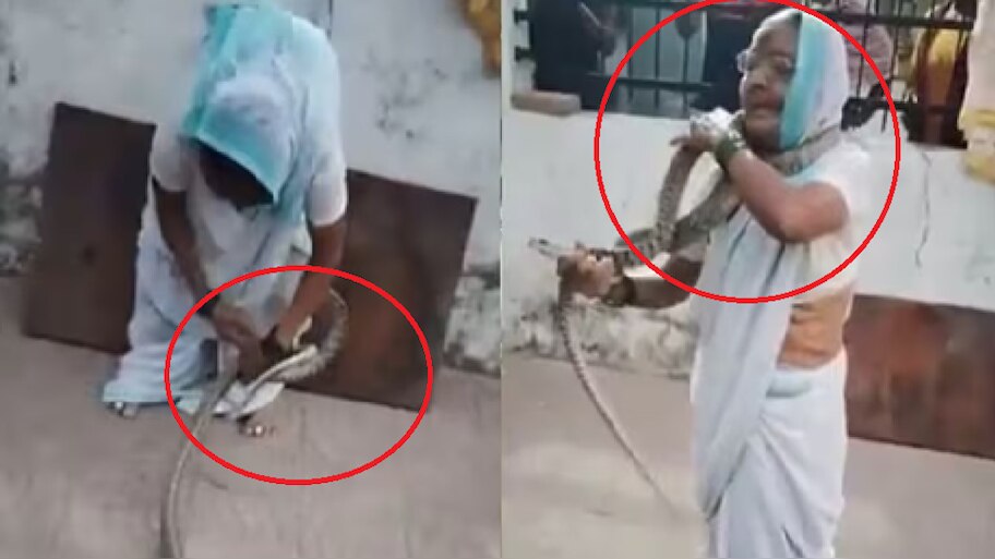Viral Video: ಶಿವನ ಕೊರಳಲ್ಲಿದ್ದ ಹಾವು ಅಜ್ಜಿಯ ಕೊರಳಲ್ಲಿ ಪ್ರತ್ಯಕ್ಷ! ವಿಡಿಯೋ ಸಖತ್ ವೈರಲ್ 