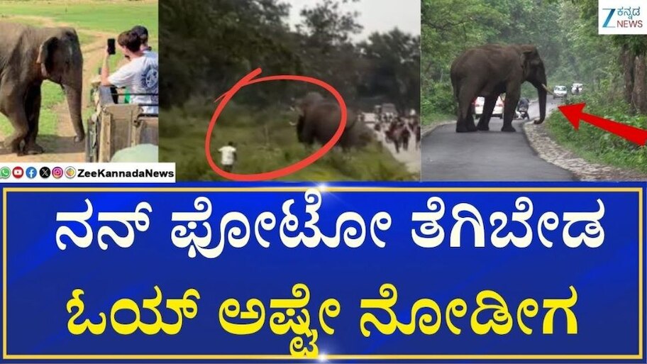 ಶಾಕಿಂಗ್ ವೀಡಿಯೋ.... ಬಂಡೀಪುರದ ನಡುರಸ್ತೆಯಲ್ಲಿ ವ್ಯಕ್ತಿ ಮೇಲೆ ಕಾಡಾನೆ ದಾಳಿ
