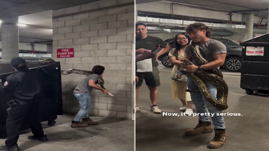 Viral Video: A man who Captures 20 Foot Python From Dumpster in Los ...