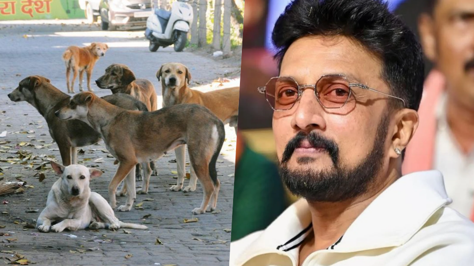 ಧ್ವನಿಯಿಲ್ಲದವರಿಗೆ ಧ್ವನಿಯಾಗಬಹುದು.. ದಯವಿಟ್ಟು ಬೀದಿ ನಾಯಿಗಳನ್ನು ದತ್ತು ತೆಗೆದುಕೊಳ್ಳಿ: ನಟ ಸುದೀಪ್ ಧ್ವನಿಯಿಲ್ಲದವರಿಗೆ ಧ್ವನಿಯಾಗಬಹುದು.. ದಯವಿಟ್ಟು ಬೀದಿ ನಾಯಿಗಳನ್ನು ದತ್ತು ತೆಗೆದುಕೊಳ್ಳಿ: ನಟ ಸುದೀಪ್