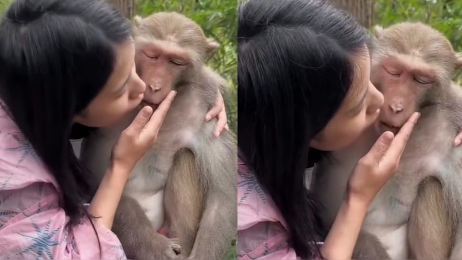 Viral Video: ಸುಮ್ಮನೇ ಕೂತಿದ್ದ ಕೋತಿಯನ್ನು ಹುಡುಕಿಕೊಂಡು ಬಂದ ಅದೃಷ್ಟ! ಹುಡುಗೀರು ಹಿಂಗ್‌ ಮಾಡಿದ್ರೆ ಹುಡುಗರ ಬಾಧೆ ಕೇಳೋರ್ ಯಾರು..