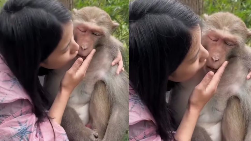 Viral Video: ಸುಮ್ಮನೇ ಕೂತಿದ್ದ ಕೋತಿಯನ್ನು ಹುಡುಕಿಕೊಂಡು ಬಂದ ಅದೃಷ್ಟ! ಹುಡುಗೀರು ಹಿಂಗ್ ಮಾಡಿದ್ರೆ ಹುಡುಗರ ಬಾಧೆ ಕೇಳೋರ್ ಯಾರು.. Viral Video: ಸುಮ್ಮನೇ ಕೂತಿದ್ದ ಕೋತಿಯನ್ನು ಹುಡುಕಿಕೊಂಡು ಬಂದ ಅದೃಷ್ಟ! ಹುಡುಗೀರು ಹಿಂಗ್ ಮಾಡಿದ್ರೆ ಹುಡುಗರ ಬಾಧೆ ಕೇಳೋರ್ ಯಾರು..