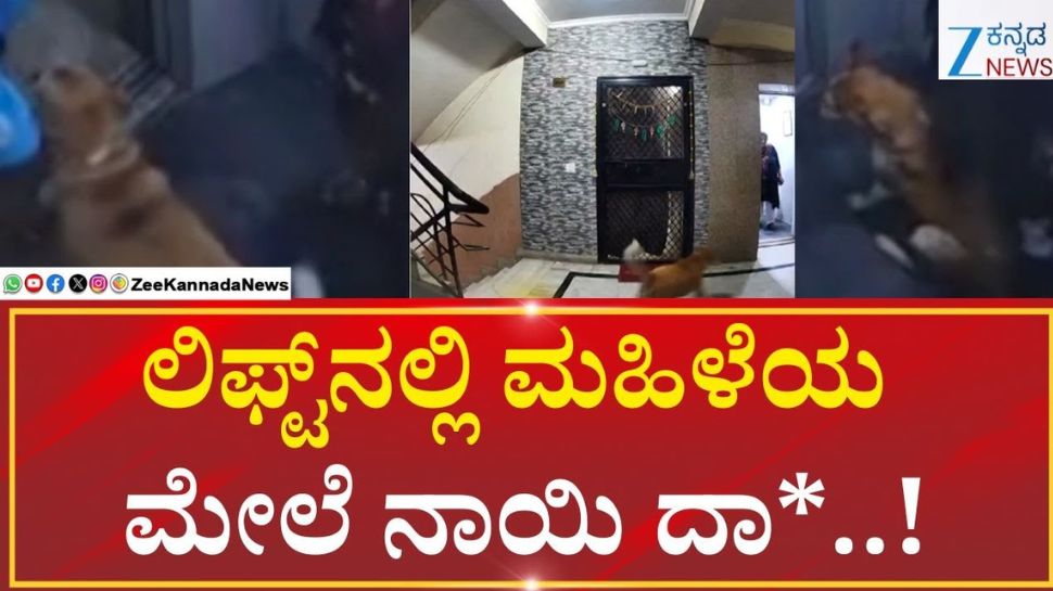 ಸೊಸೈಟಿಯ ಲಿಫ್ಟ್ ಲಾಬಿಯಲ್ಲಿ ಮನೆ ಕೆಲಸದಾಕೆಯ ಮೇಲೆ ಬೀದಿ ನಾಯಿ ದಾಳಿ: ದೃಶ್ಯ CCTVಯಲ್ಲಿ ಸೆರೆ ಸೊಸೈಟಿಯ ಲಿಫ್ಟ್ ಲಾಬಿಯಲ್ಲಿ ಮನೆ ಕೆಲಸದಾಕೆಯ ಮೇಲೆ ಬೀದಿ ನಾಯಿ ದಾಳಿ: ದೃಶ್ಯ CCTVಯಲ್ಲಿ ಸೆರೆ