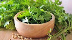 Kitchen Hacks: ಕೊತ್ತಂಬರಿ ಸೊಪ್ಪನ್ನು ಹೀಗಿಟ್ಟರೆ ಸಾಕು ಒಂದು ತಿಂಗಳವರೆಗೆ ಫ್ರೆಶ್​ ಆಗಿರುತ್ತೆ! ಫ್ರಿಡ್ಜ್​ ಇಲ್ಲದವರಿಗೂ ಇದುವೇ ಬೆಸ್ಟ್‌ ಟಿಪ್ಸ್‌