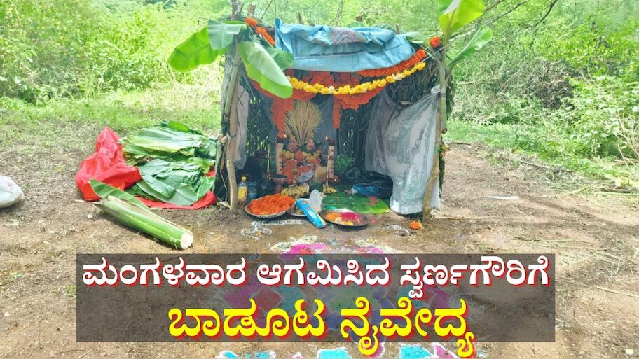 ಮಂಗಳವಾರ ಗೌರಿ ಹಬ್ಬ ಬಂದಿದ್ದಕ್ಕೆ ದೇವರಿಗೆ ಬಾಡೂಟ ನೈವೇದ್ಯ