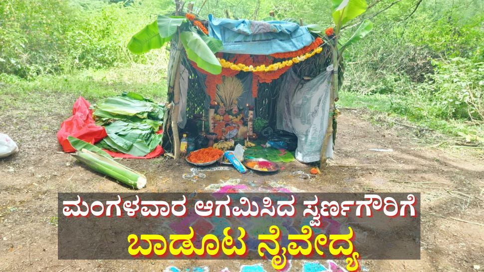 ಮಂಗಳವಾರ ಗೌರಿ ಹಬ್ಬ ಬಂದಿದ್ದಕ್ಕೆ ದೇವರಿಗೆ ಬಾಡೂಟ ನೈವೇದ್ಯ ಮಂಗಳವಾರ ಗೌರಿ ಹಬ್ಬ ಬಂದಿದ್ದಕ್ಕೆ ದೇವರಿಗೆ ಬಾಡೂಟ ನೈವೇದ್ಯ