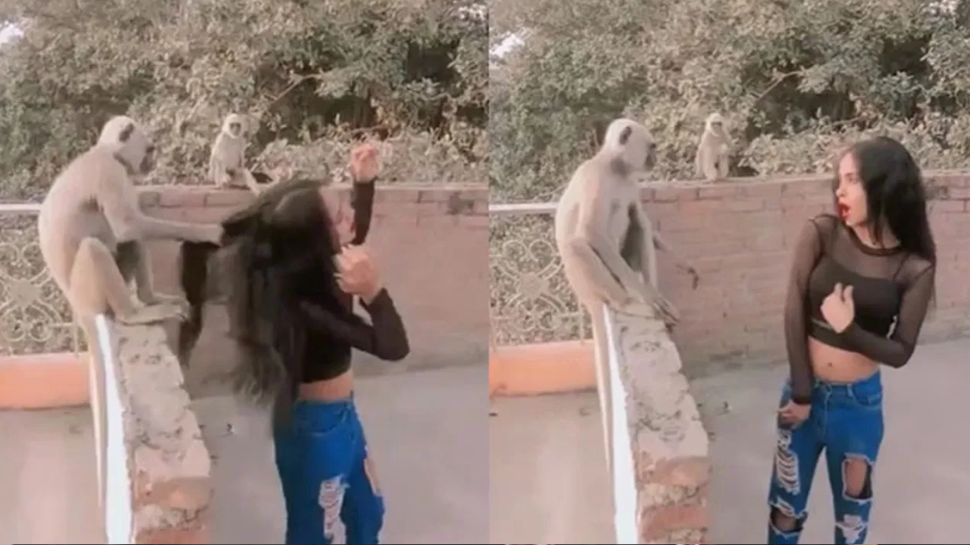 Viral Video: ಸುಮ್ಮನೆ ಕುಳಿತಿದ್ದ ಕೋತಿಯ ಮುಂದೆ ಹುಚ್ಚೆದ್ದು ಕುಣಿದ ಯುವತಿ! ತಾಳ್ಮೆ ಕಳೆದುಕೊಂಡ ಮಂಗ ಮಾಡಿದ್ದೇನು? ವಿಡಿಯೋ ವೈರಲ್.. Viral Video: ಸುಮ್ಮನೆ ಕುಳಿತಿದ್ದ ಕೋತಿಯ ಮುಂದೆ ಹುಚ್ಚೆದ್ದು ಕುಣಿದ ಯುವತಿ! ತಾಳ್ಮೆ ಕಳೆದುಕೊಂಡ ಮಂಗ ಮಾಡಿದ್ದೇನು? ವಿಡಿಯೋ ವೈರಲ್..