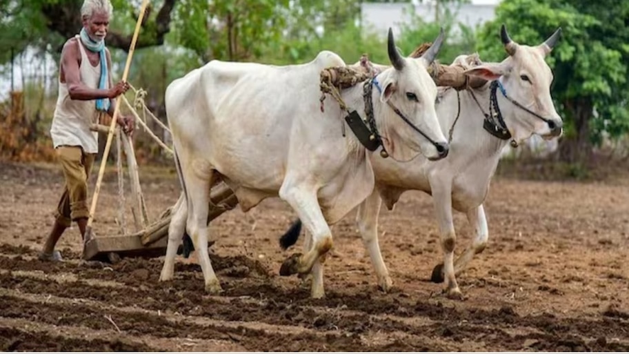 ರೈತರಿಗೂ ಸಿಗುತ್ತದೆ ಮಾಸಿಕ ಪಿಂಚಣಿ 3 ಸಾವಿರ ರೂಪಾಯಿ  : ಈ ರೀತಿ ಅರ್ಜಿ ಸಲ್ಲಿಸಿ 