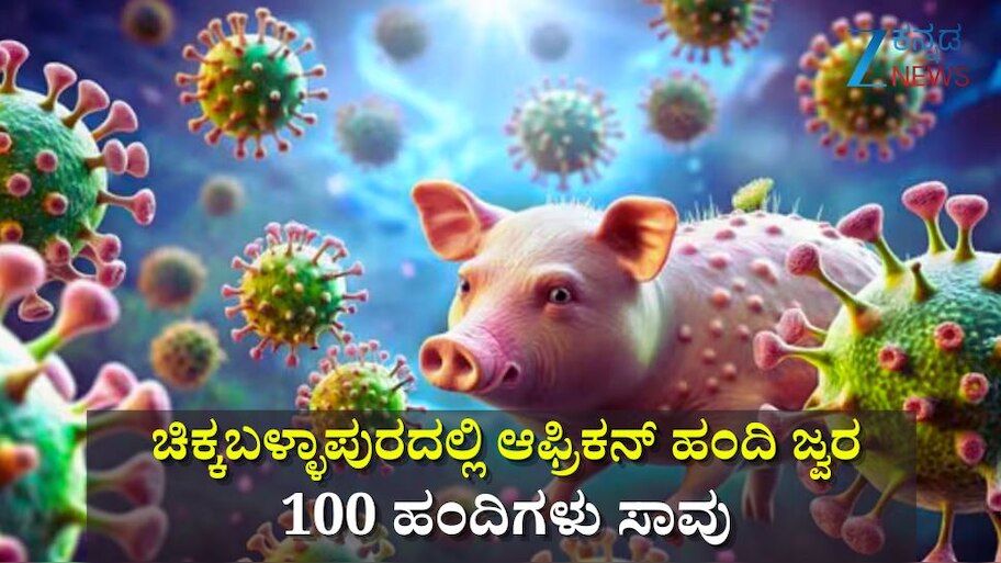 ಚಿಕ್ಕಬಳ್ಳಾಪುರದಲ್ಲಿ ಆಫ್ರಿಕನ್ ಹಂದಿ ಜ್ವರ: 100 ಹಂದಿಗಳು ಸಾವು, ಜನರಿಗೆ ಆತಂಕ ಬೇಡವೆಂದ ಇಲಾಖೆ