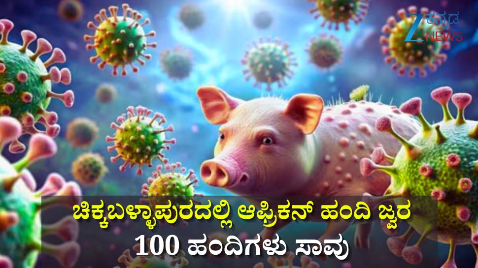 ಚಿಕ್ಕಬಳ್ಳಾಪುರದಲ್ಲಿ ಆಫ್ರಿಕನ್ ಹಂದಿ ಜ್ವರ: 100 ಹಂದಿಗಳು ಸಾವು, ಜನರಿಗೆ ಆತಂಕ ಬೇಡವೆಂದ ಇಲಾಖೆ ಚಿಕ್ಕಬಳ್ಳಾಪುರದಲ್ಲಿ ಆಫ್ರಿಕನ್ ಹಂದಿ ಜ್ವರ: 100 ಹಂದಿಗಳು ಸಾವು, ಜನರಿಗೆ ಆತಂಕ ಬೇಡವೆಂದ ಇಲಾಖೆ