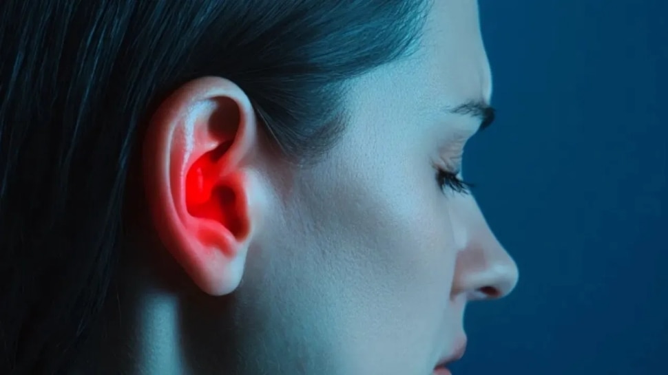 Ear Health: ಈ ಆಹಾರಗಳನ್ನು ತಿಂದರೆ ಎಂದಿಗೂ ನೀವು ಕಿವುಡರಾಗುವುದಿಲ್ಲ.. ಕಿವಿ ಸೂಪರ್ ಆಗಿ ಕೇಳುತ್ತೆ Ear Health: ಈ ಆಹಾರಗಳನ್ನು ತಿಂದರೆ ಎಂದಿಗೂ ನೀವು ಕಿವುಡರಾಗುವುದಿಲ್ಲ.. ಕಿವಿ ಸೂಪರ್ ಆಗಿ ಕೇಳುತ್ತೆ