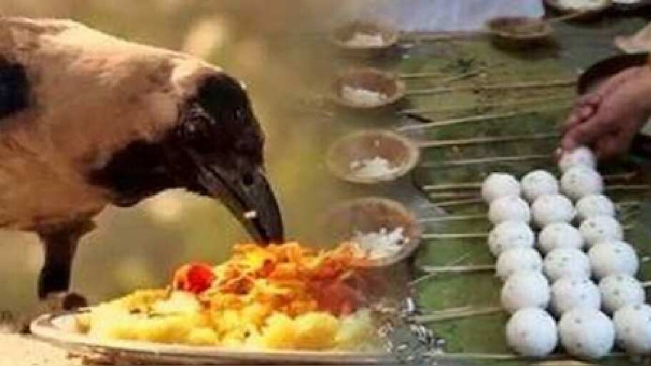 ಪಿತೃಪಕ್ಷ ಯಾವಾಗ ಪ್ರಾರಂಭವಾಗಲಿದೆ? ಸರ್ವಪಿತೃ ಅಮಾವಾಸ್ಯೆಯವರೆಗೆ ಶ್ರಾದ್ಧದ ದಿನಾಂಕ & ಮಂಗಳಕರ ಸಮಯ ತಿಳಿಯಿರಿ
