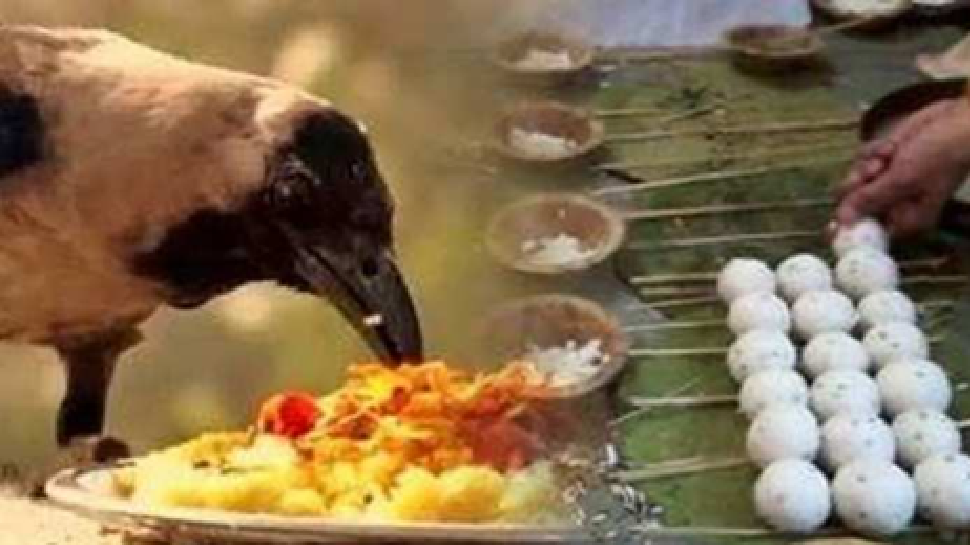 ಪಿತೃಪಕ್ಷ ಯಾವಾಗ ಪ್ರಾರಂಭವಾಗಲಿದೆ? ಸರ್ವಪಿತೃ ಅಮಾವಾಸ್ಯೆಯವರೆಗೆ ಶ್ರಾದ್ಧದ ದಿನಾಂಕ & ಮಂಗಳಕರ ಸಮಯ ತಿಳಿಯಿರಿ ಪಿತೃಪಕ್ಷ ಯಾವಾಗ ಪ್ರಾರಂಭವಾಗಲಿದೆ? ಸರ್ವಪಿತೃ ಅಮಾವಾಸ್ಯೆಯವರೆಗೆ ಶ್ರಾದ್ಧದ ದಿನಾಂಕ & ಮಂಗಳಕರ ಸಮಯ ತಿಳಿಯಿರಿ