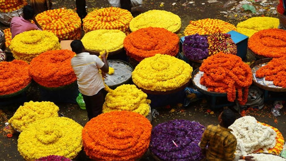 ಕೆಆರ್ ಮಾರ್ಕೆಟ್‌ನಿಂದ ಈ ಸ್ಥಳಕ್ಕೆ ಶಿಫ್ಟ್‌ ಆಗ್ತಿದೆ ಹೂವಿನ ಮಾರುಕಟ್ಟೆ! ಇನ್ಮುಂದೆ ಹಬ್ಬಗಳ ಸಂದರ್ಭದಲ್ಲಿ ಇಲ್ಲಿ ಸಿಗುವುದು ವೆರೈಟಿ ವೆರೈಟಿ ಹೂವುಗಳು