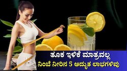 ತೂಕ ಇಳಿಕೆ ಮಾತ್ರವಲ್ಲ, ನಿಂಬೆ ನೀರಿನ ಔಷಧೀಯ ಗುಣಗಳಿಂದ ಸಿಗುತ್ತೆ ಈ  5 ಅದ್ಭುತ ಪ್ರಯೋಜನಗಳಿವು