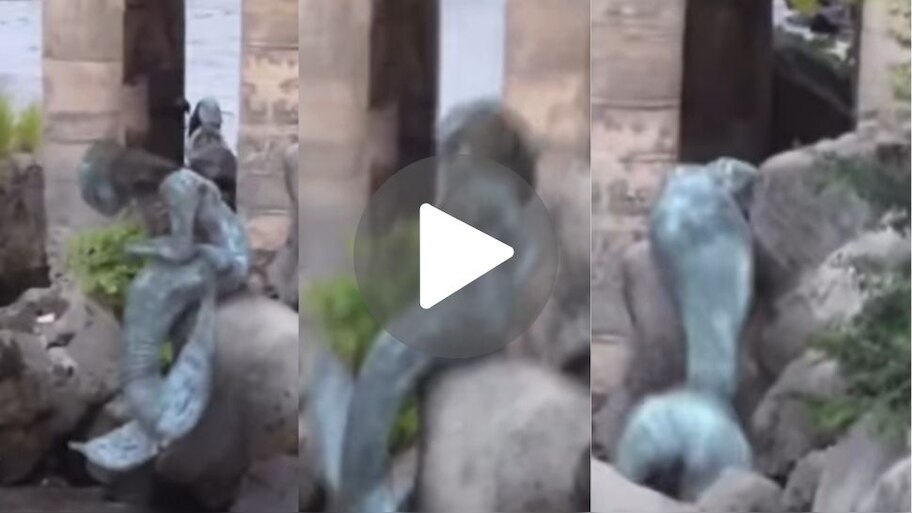 viral Video: ಸಮುದ್ರದ ದಡದಲ್ಲಿ ಅರ್ಧಾಂಗಿಯ ಜೊತೆ ಕೂತ 'ಮತ್ಸ್ಯಕನ್ಯೆ'! ಪ್ರವಾಸಿಗರಿಗೆ ಕಂಡಿದ್ದು ಬೆಲೆ ಕಟ್ಟಲಾಗದ ದೃಶ್ಯ